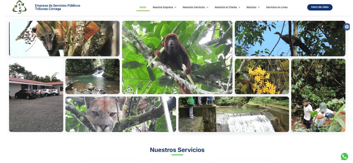 ESP Tribunas Web